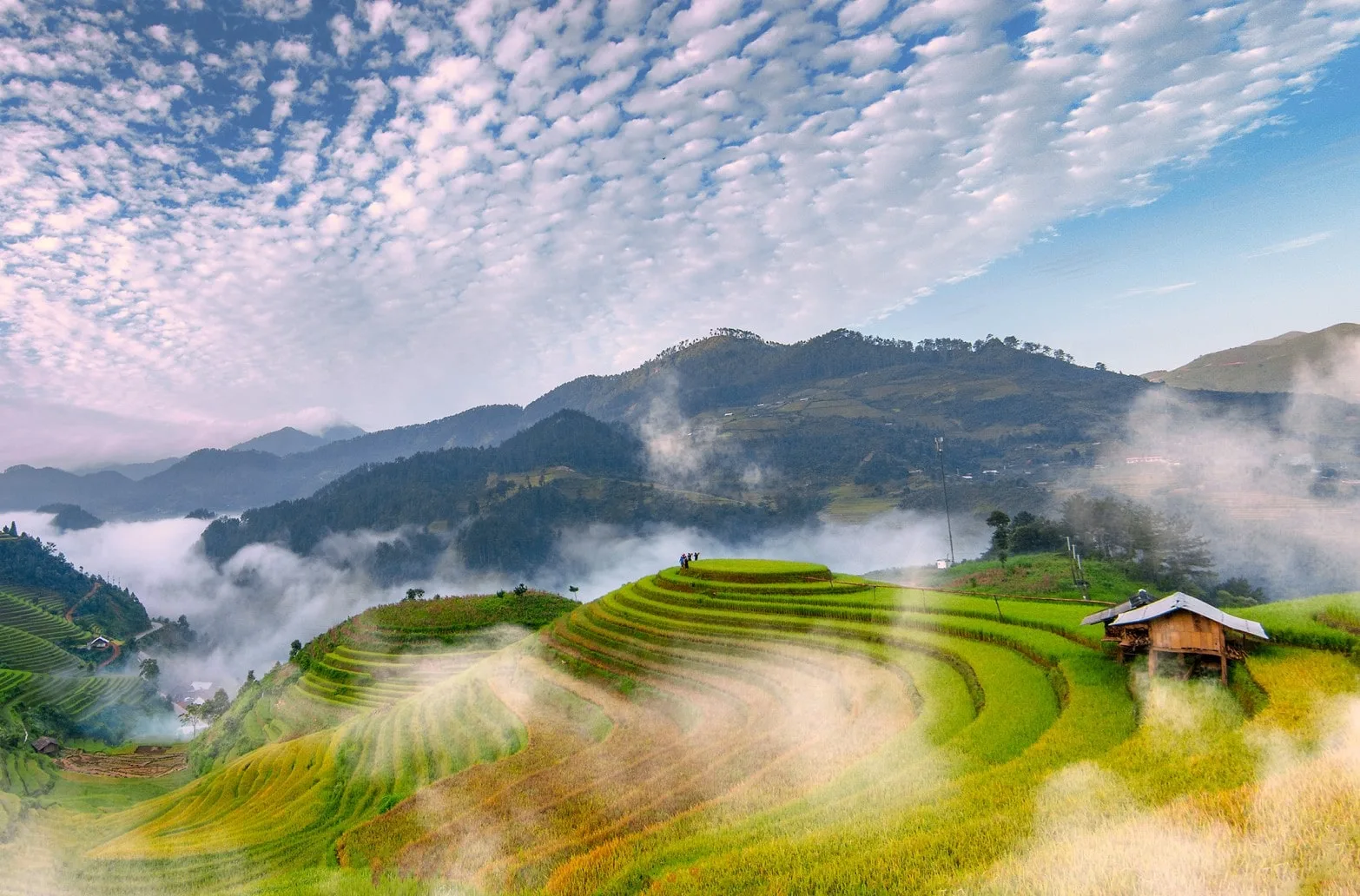 Mù Cang Chải