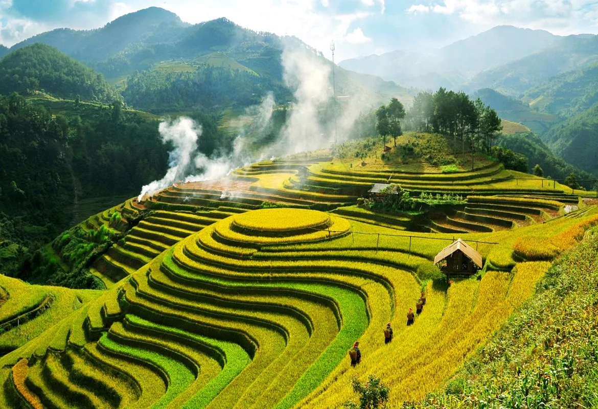 Mù Cang Chải Mùa lúa chín