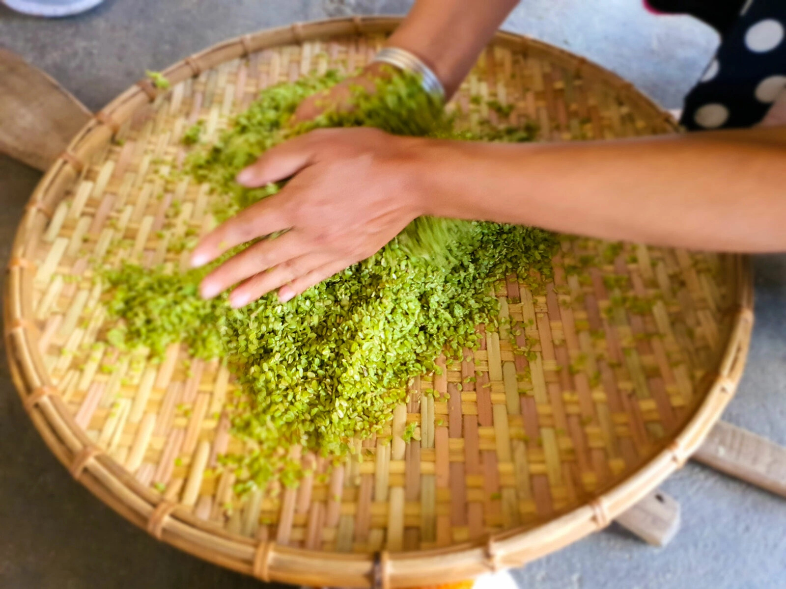 Cốm Tú Lệ