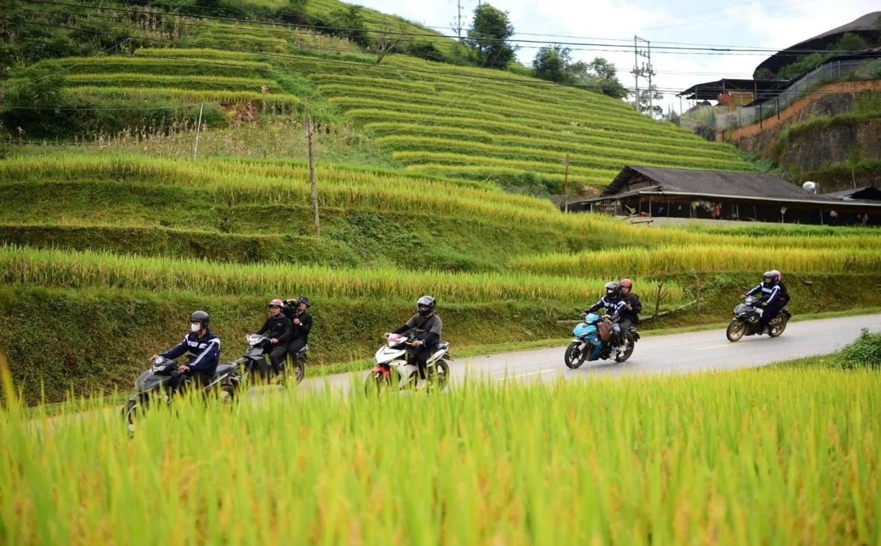 Mù Cang Chải