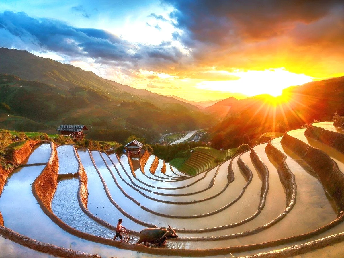 Mù Cang Chải Mùa nước đổ