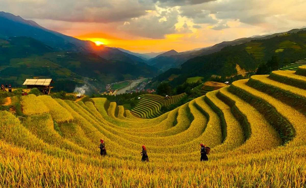 Đồi Móng Ngựa
